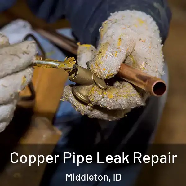 Copper Pipe Leak Repair Middleton, ID