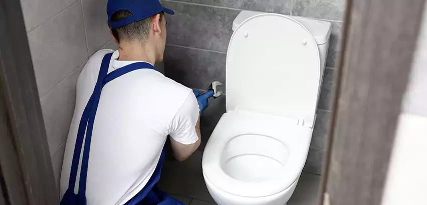 Toilet Lid Replacement in Middleton