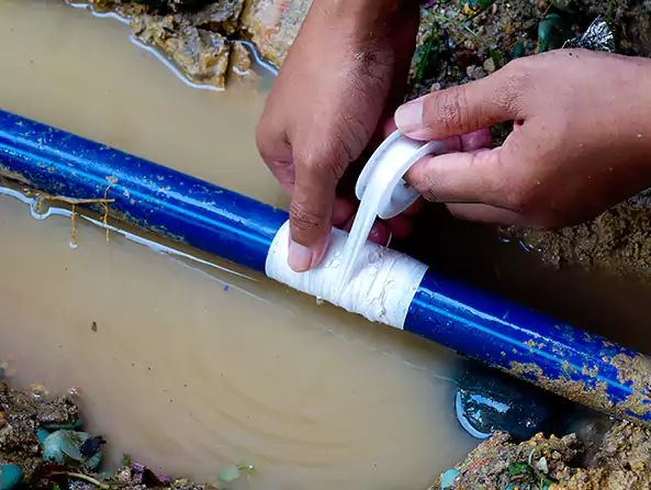  Why Choose Middleton Plumbing Pro for Leak Detection in Middleton, ID?]