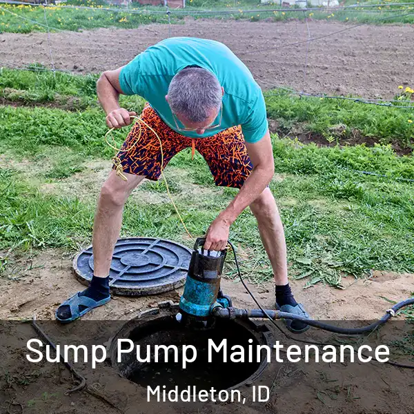  Sump Pump Maintenance Middleton, ID
