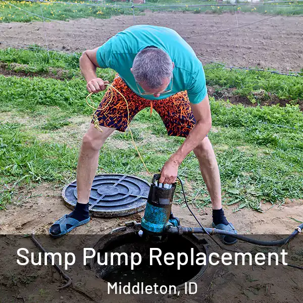  Sump Pump Replacement Middleton, ID