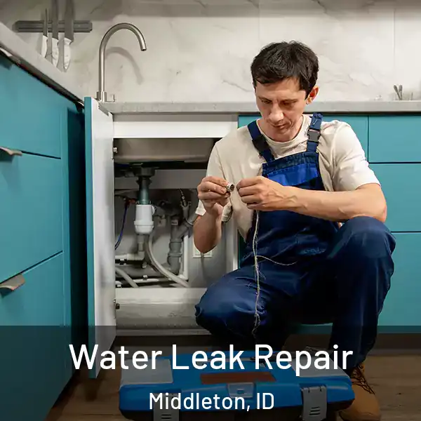  Water Leak Repair Middleton, ID